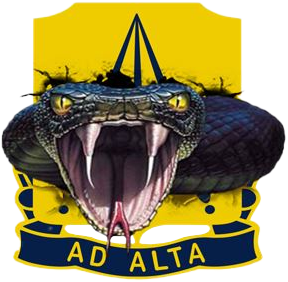 73D OD Battalion crest with a cobra wrapped around the center